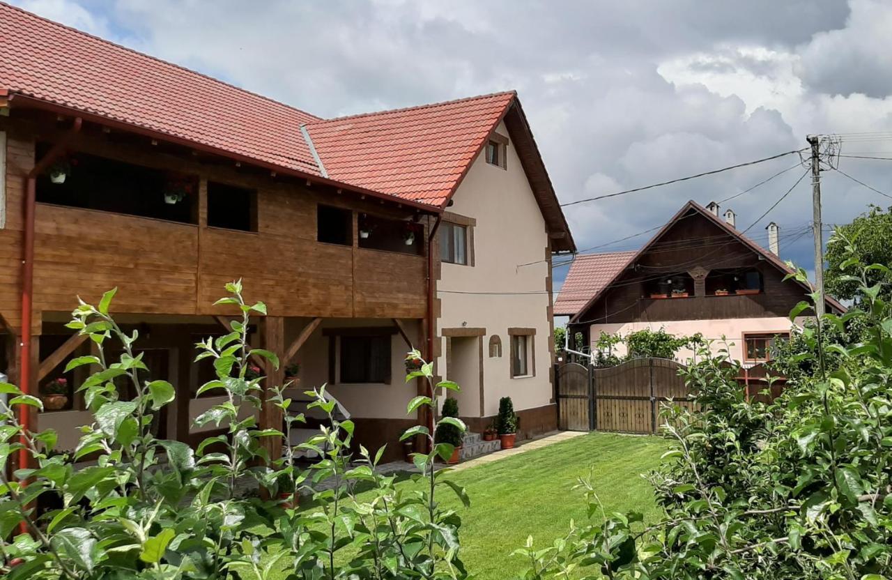 Dragus Casa Monica旅馆 外观 照片