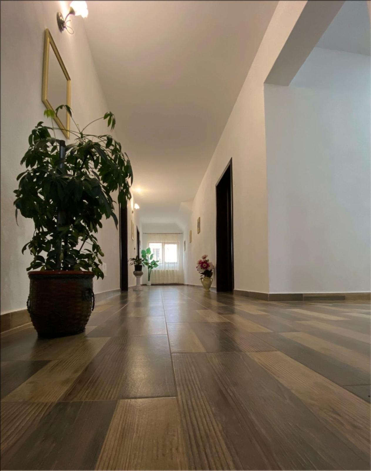 Dragus Casa Monica旅馆 外观 照片